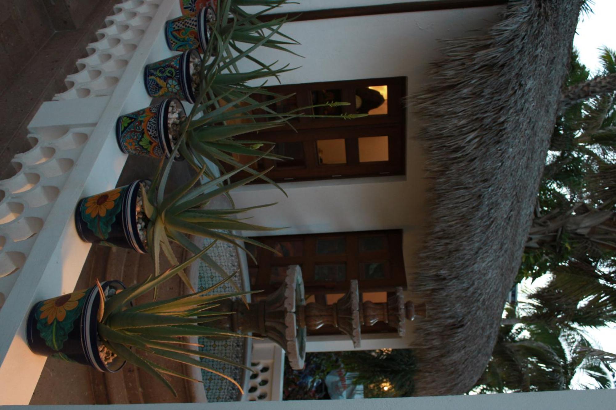 Casa Costa Azul Otel San José del Cabo Dış mekan fotoğraf