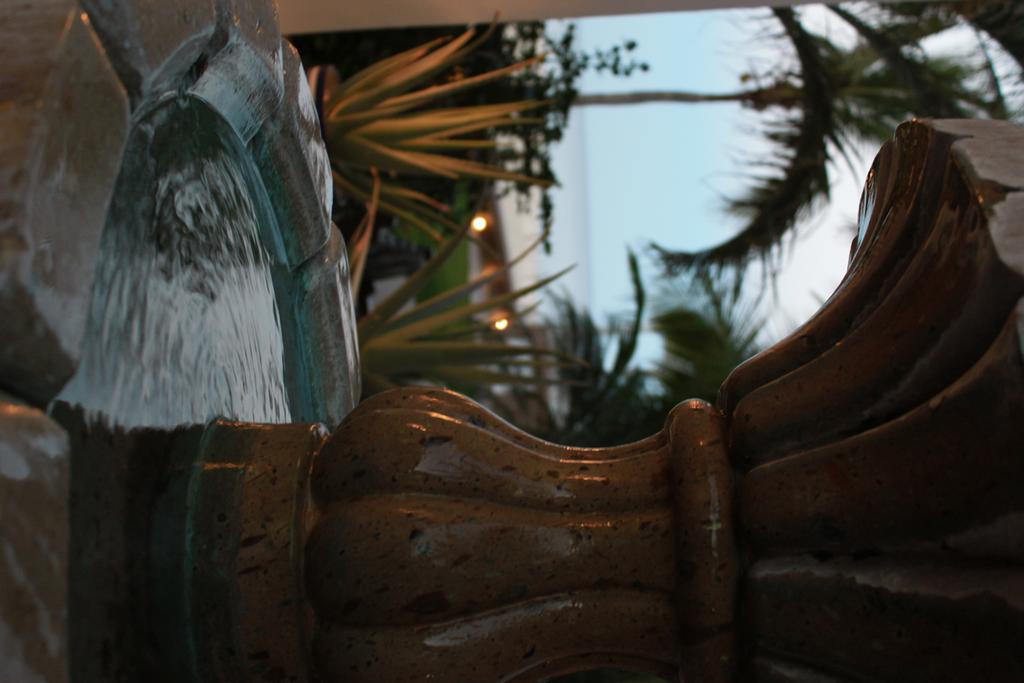 Casa Costa Azul Otel San José del Cabo Dış mekan fotoğraf