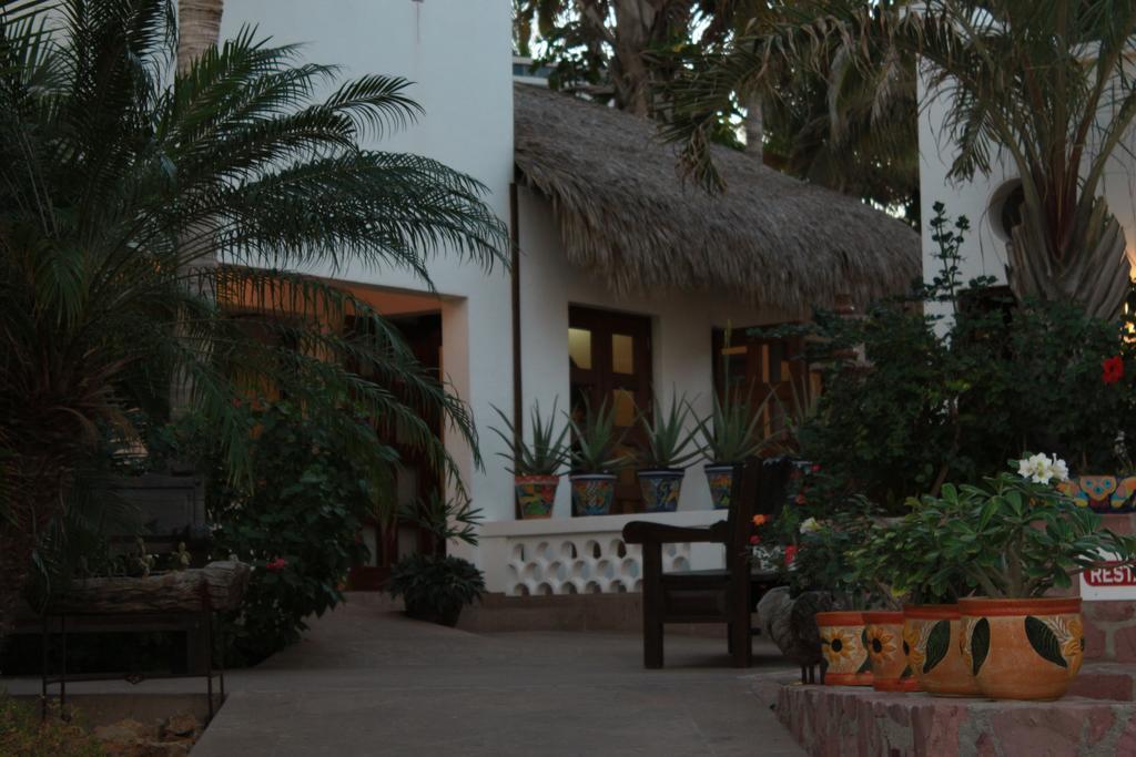 Casa Costa Azul Otel San José del Cabo Dış mekan fotoğraf