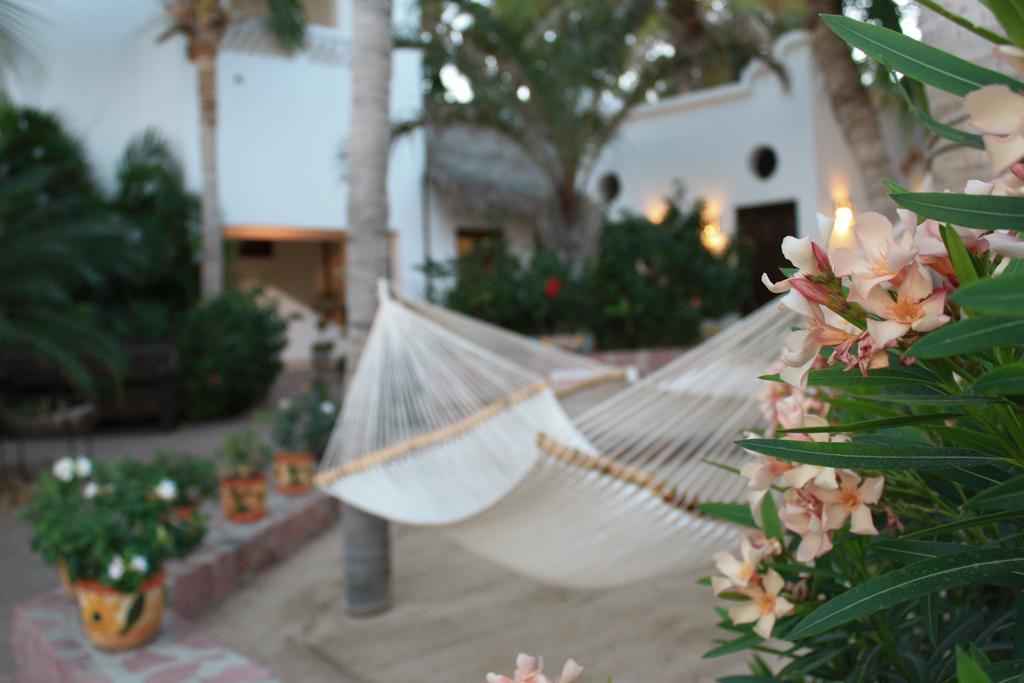 Casa Costa Azul Otel San José del Cabo Dış mekan fotoğraf