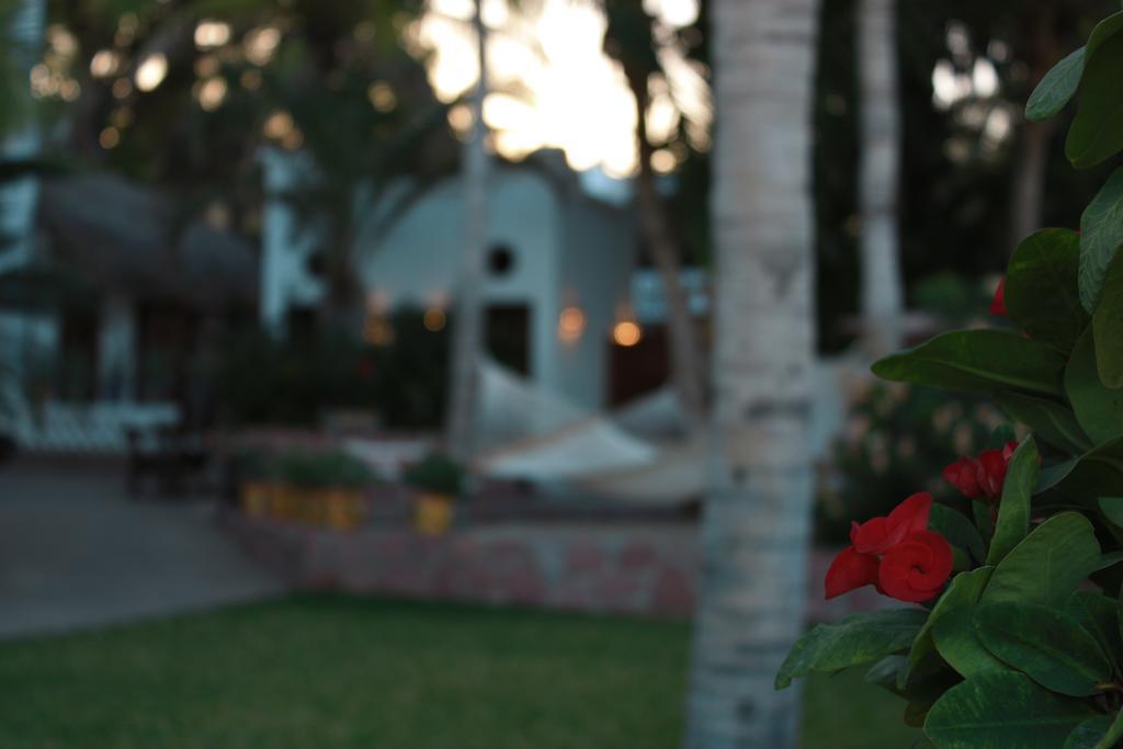 Casa Costa Azul Otel San José del Cabo Dış mekan fotoğraf
